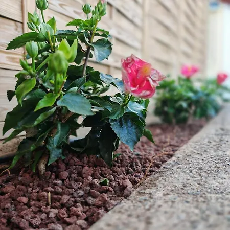 Appartement Complejo Sun's Gardens -